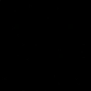 Meet your Posher, Big